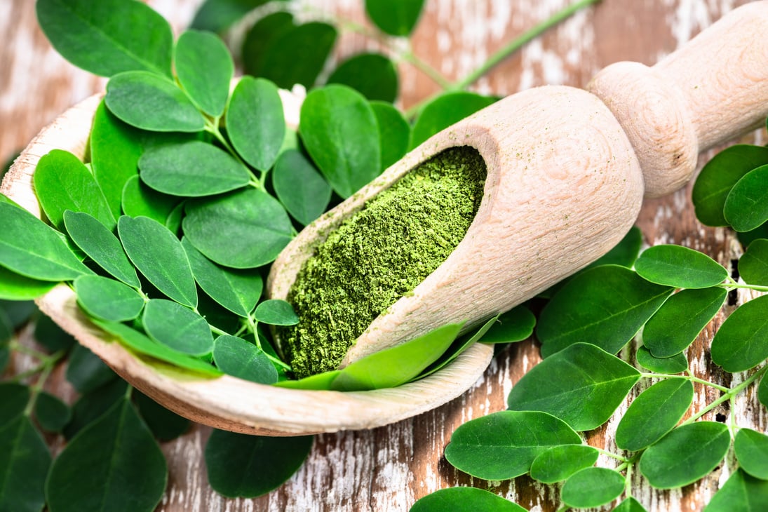 Moringa powder in wooden scoop with original fresh Moringa leaves on wooden table close-up.