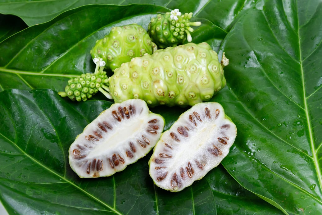 Noni