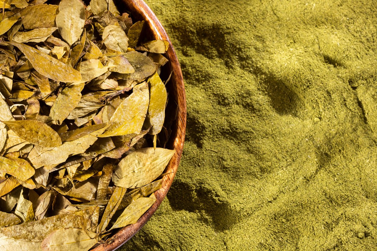 Erythroxylum coca - Coca leaves and flour