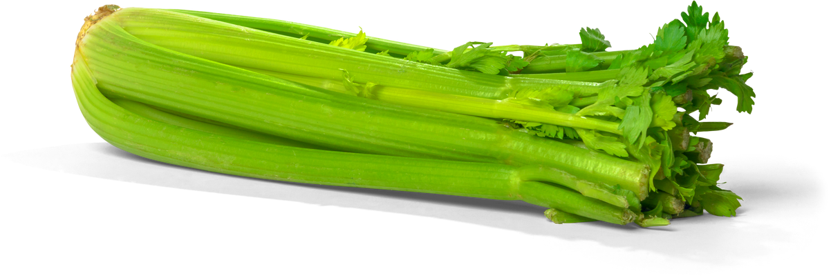 Fresh Celery - Isolated