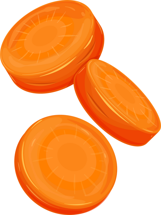 Carrot Slice Illustration