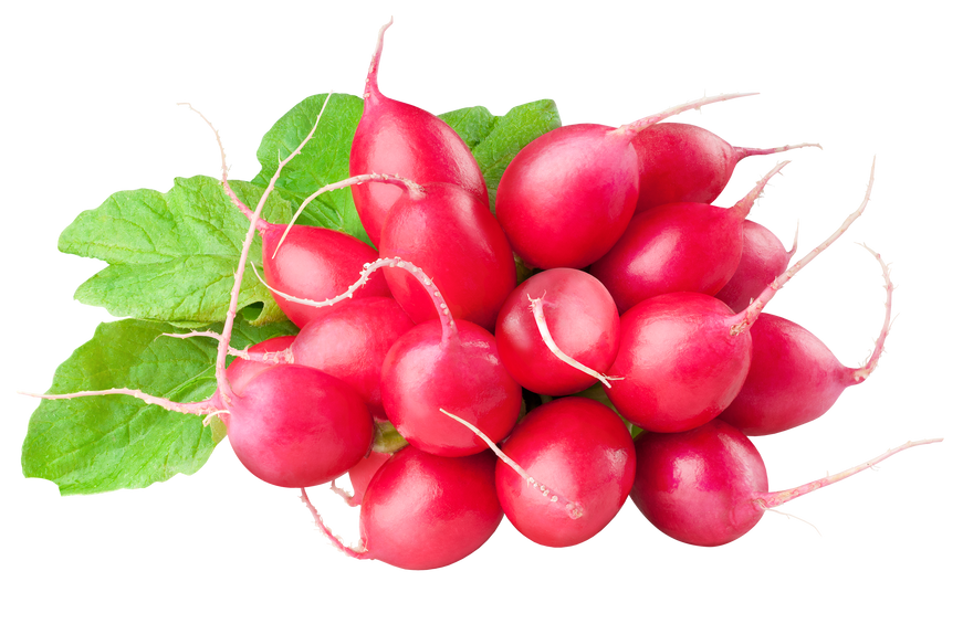 Red Radishes